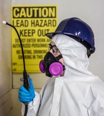 Lead Paint Assessment Service