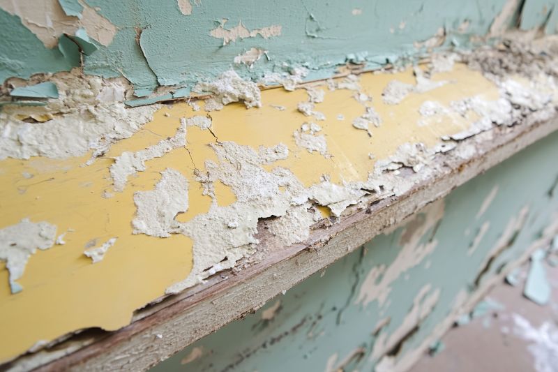 Lead Paint Assessment